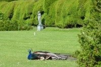 Stansted House & Park