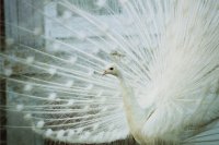 Stansted House & Park